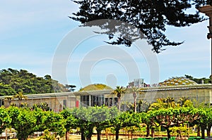 San Francisco, California Academy of Sciences, green roof, museum, California, United States of America, Usa