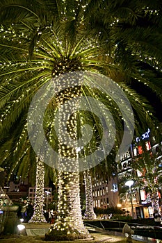 SAN FRANCISCO, CALIFORNIA, UNITED STATES - NOV 26th, 2018: Night view of a Christmas palm tree at Union Square