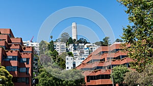 Coit Tower San Francisco California in a blue sky day USA