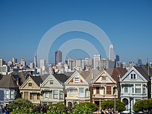 San Francisco, California, USA: Painted ladies, Victorian and Edwardian houses and buildings, Alamo Square Park