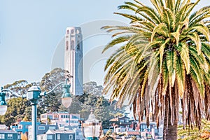 San Francisco, California, USA - October 16, 2021, coit tower framed by palm trees. Photo processed in pastel colors