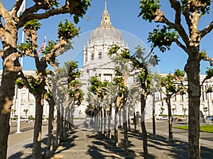 San Francisco City Hall behind the trees