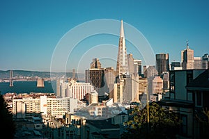 San Francisco City Sky Line