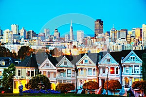 San Francisco cityscape as seen from Alamo square park