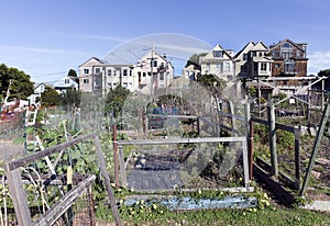 San Francisco Community Garden