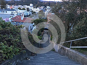 15Th Avenue steps, one of San Francisco`s smallest, UNofficial parks, 6. photo