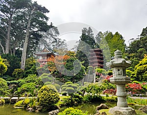 San Francisco Japanese Garden