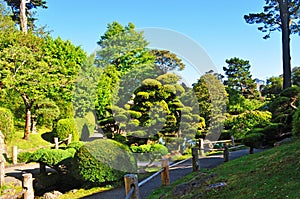 San Francisco, Japanese Tea Garden, Golden Gate Park, green, nature, landscape, California, United States of America, Usa