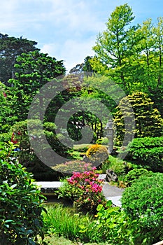 San Francisco, Japanese Tea Garden, Golden Gate Park, green, nature, landscape, California, United States of America, Usa, trees