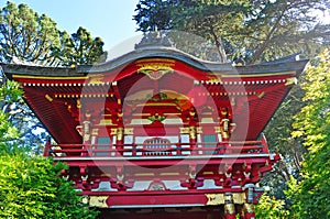 San Francisco, Japanese Tea Garden, Tea House, foliage, tree, maple, Golden Gate Park, green, nature, California, United States