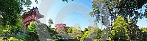 San Francisco, Japanese Tea Garden, Tea House, foliage, tree, maple, Golden Gate Park, green, nature, California, United States