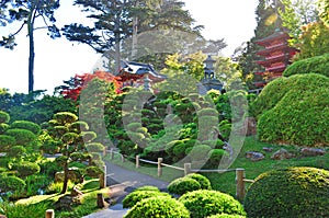 San Francisco, Japanese Tea Garden, Tea House, Treasure Tower Pagoda, Golden Gate Park, green, nature, California, United States