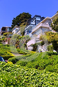 San Francisco Lombard Street gardens California