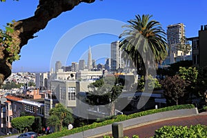 San Francisco Lombard Street with Trans-America Building, California