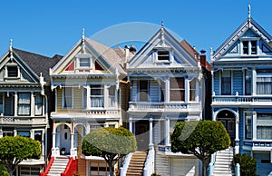 San Francisco Painted Ladies