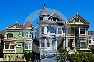 San Francisco Painted Ladies