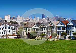 San Francisco Painted Ladies