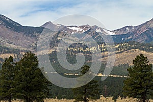 San Francisco Peaks area near Flagstaff, Arizona, was the site of a massive 2010 wildfire; this photo shows the scene in 2018 photo