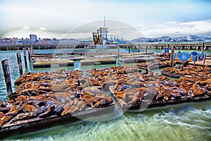 San Francisco Pier 39