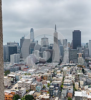 San Francisco skyline framed by Coit Tower Architecture