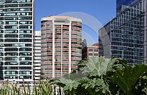 San Francisco skyscrapers. View from Salesforce Transit Center roof garden. Panorama