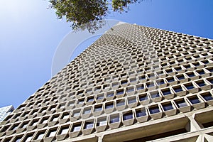 San Francisco Transamerica Pyramid Building