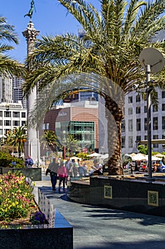 San Francisco, USA - July 05, 2019, view of Union Square, in San Francisco, in the foreground a palm tree, in the background