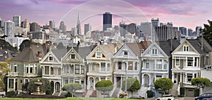 San Franciso Skyline and the Painted Ladies