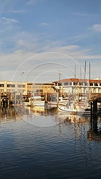 San Fransico California fishermans wharf