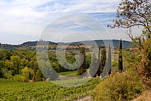 San Gimignano, Tuscany, Italy - hills, vineyards and views of San Gimignano `medieval Manhattan` .