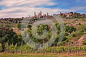 San Gimignano, Tuscany, Italy: landscape of the hill town and the countryside with vineyard
