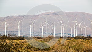 San Gorgonio Pass Wind Farm 2