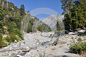 San Gorgonio wilderness