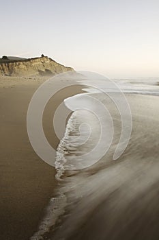 San Gregorio Beach with Bird Tracks photo