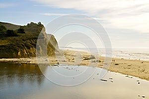 San Gregorio State Beach