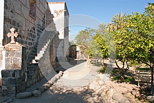 San Ignacio monastery garde Baja California Mexico photo