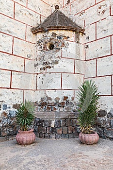 Potted plants in a courtyard at the San Ignacio Mission photo