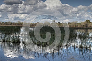 San Joaquin Wildlife Preserve California