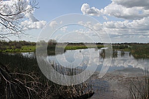 San Joaquin Wildlife Preserve California