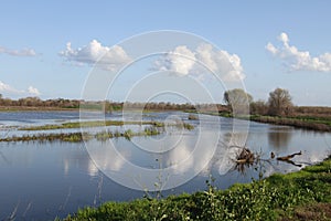 San Joaquin Wildlife Preserve California