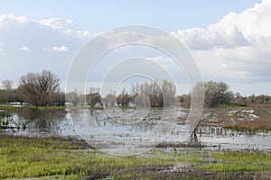 San Joaquin Wildlife Preserve California