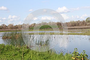 San Joaquin Wildlife Preserve California