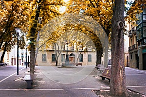 San Jose Square with its peatonal paths and big trees, is located next to the Cathedral in Pamplona photo