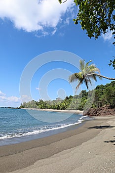 San Josecito beach in Corcovado National Park in Costa Rica