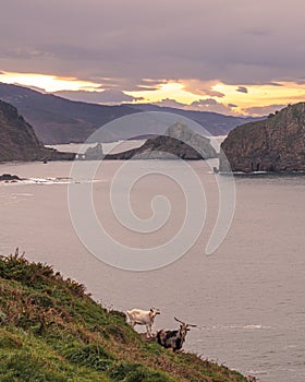 San Juan of Gaztelugatxe