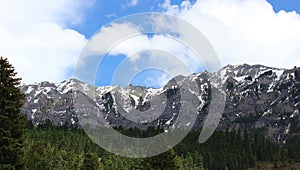 San Juan Mountain Range Ouray, CO photo