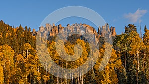 San Juan Mountains Colorado Aspen Tree