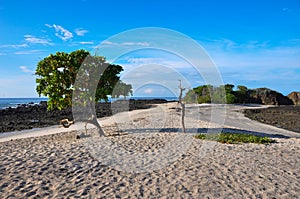 San Juanillo beach on both sides, Nicoya Peninsula, Costa Rica photo