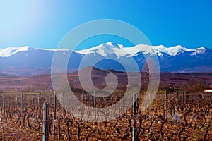 San Lorenzo peak snowy mountain. Winter vineyard grapevines. La Rioja