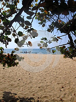 San Luis Beach at Cumana, Venezuela photo